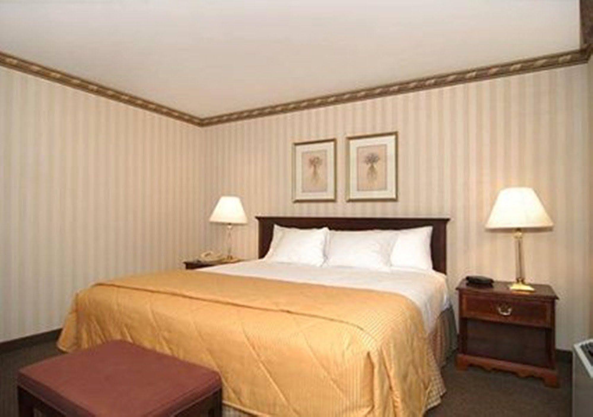 Comfort Inn&Suites Near Burke Mountain Saint Johnsbury Eksteriør bilde